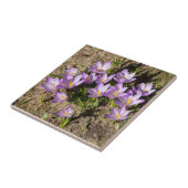 Niedliche Federhäkchen Fliese (Seite)