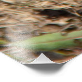 Niedliche Federhäkchen Fotodruck (Ecke)