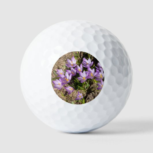 Niedliche Federhäkchen Golfball (Vorderseite)