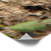 Niedliche Federhäkchen Poster (Ecke)