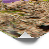 Niedliche Federhäkchen Poster (Ecke)