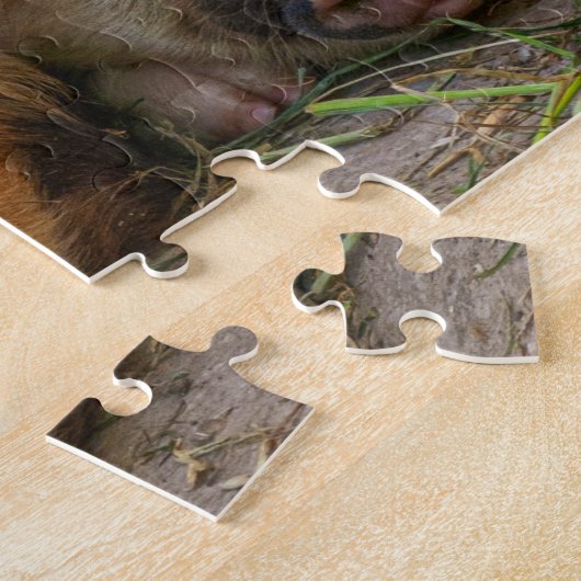 Niedliche Ferkel Puzzle (Seite)