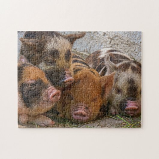 Niedliche Ferkel Puzzle (Horizontal)