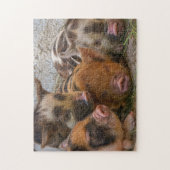 Niedliche Ferkel Puzzle (Vertikal)