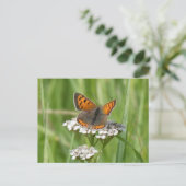 Niedliche Feuerlöschkreuzung Postkarte (Stehend Vorderseite)