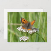 Niedliche Feuerlöschkreuzung Postkarte (Vorne/Hinten)