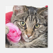 Niedliche Filmtablette Mit Rose Magnet (Vorne)