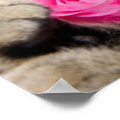 Niedliche Filmtablette Mit Rose Poster (Ecke)