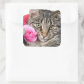 Niedliche Filmtablette Mit Rose Quadratischer Aufkleber (Tasche)