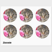 Niedliche Filmtablette Mit Rose Runder Aufkleber (Blatt)