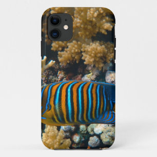 Niedliche Fische Case-Mate iPhone Hülle