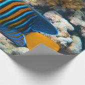 Niedliche Fische Geschenkpapier (Ecke)