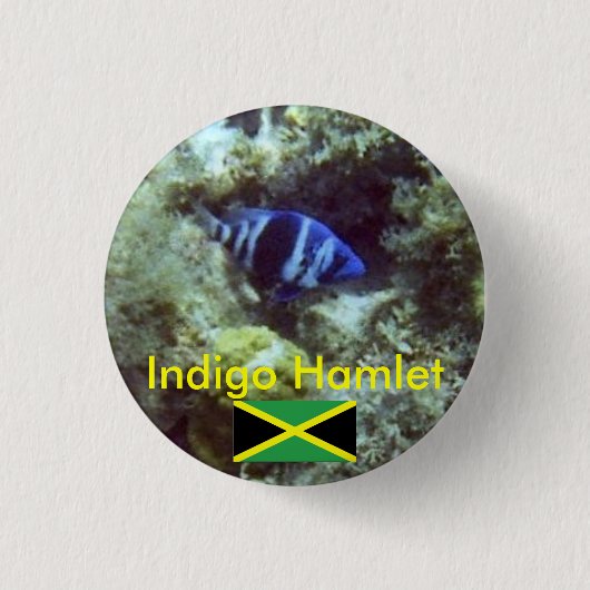 Niedliche Fische, Indigo Hamlet, Jamaika Button (Vorderseite)