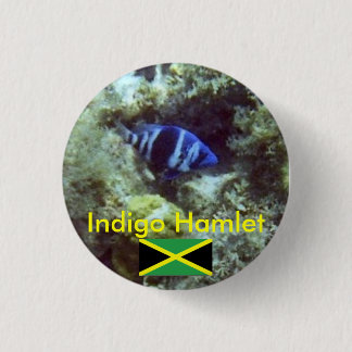 Niedliche Fische, Indigo Hamlet, Jamaika Button