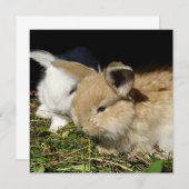 Niedliche, flauschige Bundsen (Vorne/Hinten)