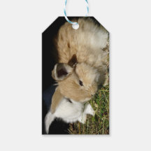 Niedliche, flauschige Bundsen