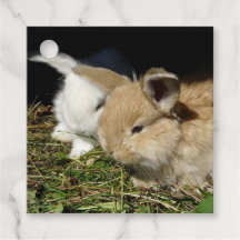 Niedliche, flauschige Bundsen