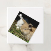 Niedliche, flauschige Bundsen Geschenkanhänger (Beispiel)