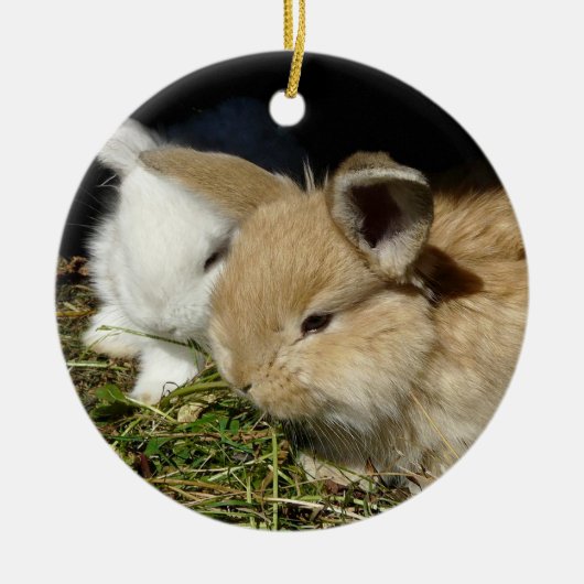 Niedliche, flauschige Bundsen Keramik Ornament (Vorne)