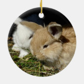 Niedliche, flauschige Bundsen Keramik Ornament (Hinten)