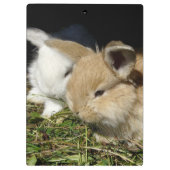 Niedliche, flauschige Bundsen Klemmbrett (Rückseite)