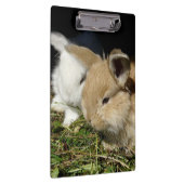 Niedliche, flauschige Bundsen Klemmbrett (Rechts)