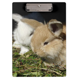 Niedliche, flauschige Bundsen Klemmbrett