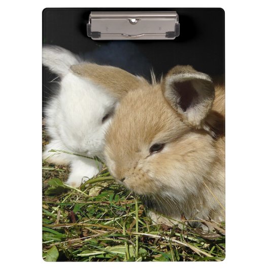 Niedliche, flauschige Bundsen Klemmbrett (Vorderseite)