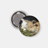 Niedliche, flauschige Bundsen Magnet (Vorderseite/Rückseite)