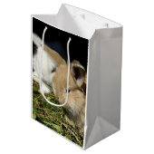 Niedliche, flauschige Bundsen Mittlere Geschenktüte (Vorderseite Schrägansicht)