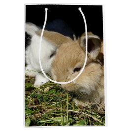 Niedliche, flauschige Bundsen Mittlere Geschenktüte