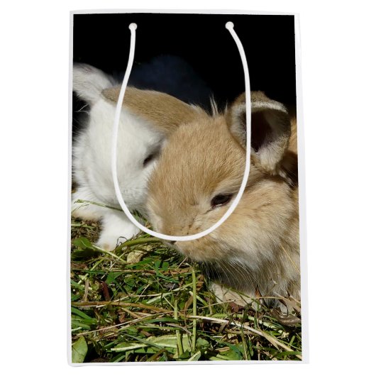 Niedliche, flauschige Bundsen Mittlere Geschenktüte (Vorderseite)