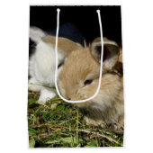 Niedliche, flauschige Bundsen Mittlere Geschenktüte (Rückseite)