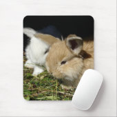 Niedliche, flauschige Bundsen Mousepad (Mit Mouse)