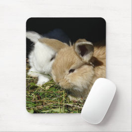 Niedliche, flauschige Bundsen Mousepad