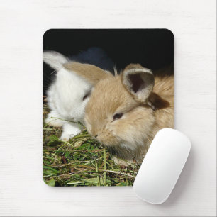 Niedliche, flauschige Bundsen Mousepad