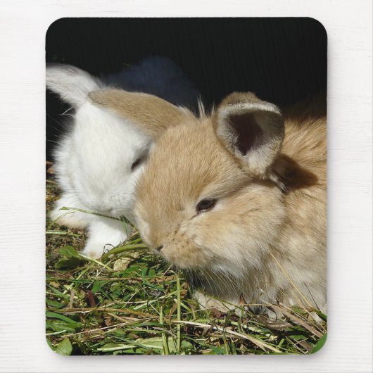 Niedliche, flauschige Bundsen Mousepad (Vorne)