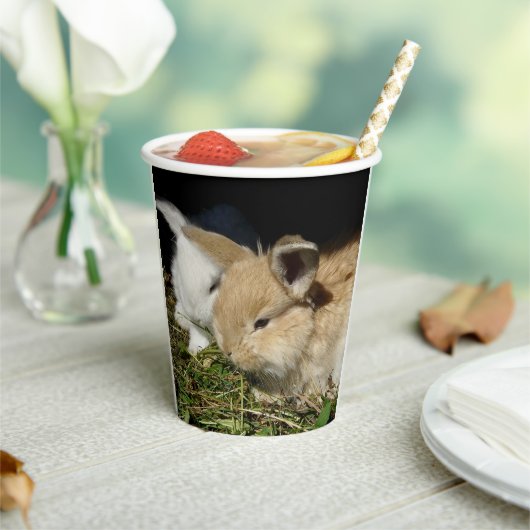 Niedliche, flauschige Bundsen Pappbecher (In Situ)