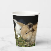 Niedliche, flauschige Bundsen Pappbecher (Rückseite)