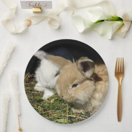 Niedliche, flauschige Bundsen Pappteller