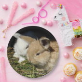 Niedliche, flauschige Bundsen Pappteller (Party)