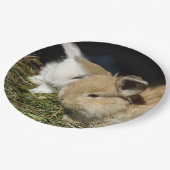 Niedliche, flauschige Bundsen Pappteller (Schrägansicht)