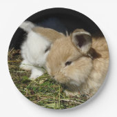 Niedliche, flauschige Bundsen Pappteller (Vorderseite)