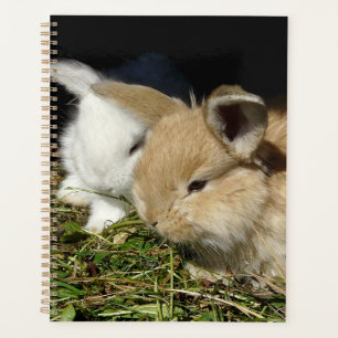 Niedliche, flauschige Bundsen Planer