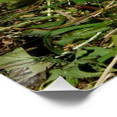 Niedliche, flauschige Bundsen Poster (Ecke)