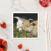 Niedliche, flauschige Bundsen Serviette (Beispiel)