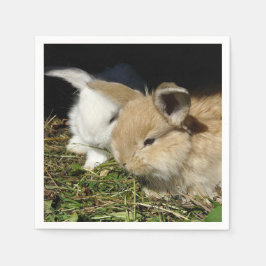 Niedliche, flauschige Bundsen Serviette