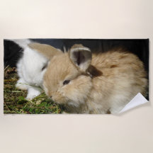 Niedliche, flauschige Bundsen