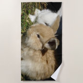 Niedliche, flauschige Bundsen Strandtuch (Vorderseite)