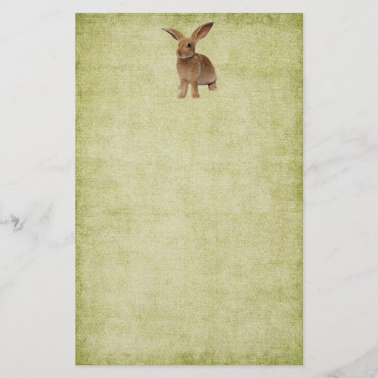 Niedliche Floppy Bunny - Stationery No Lines Briefpapier (Vorderseite)